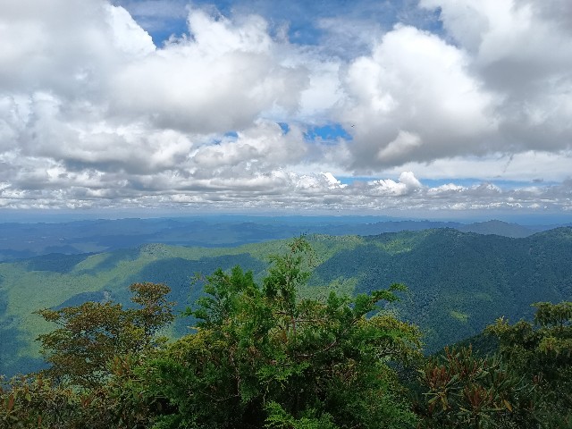 f:id:developingexplorer:20250809164421j:image