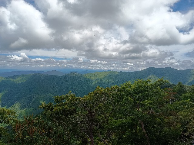 f:id:developingexplorer:20250809164431j:image
