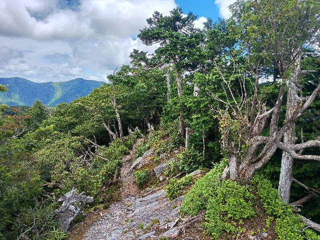 f:id:developingexplorer:20250809164632j:image