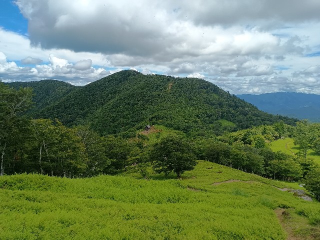 f:id:developingexplorer:20250811070830j:image