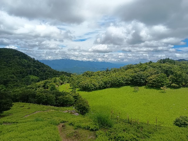 f:id:developingexplorer:20250811070840j:image