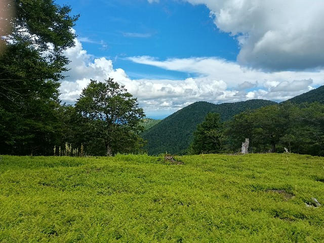 f:id:developingexplorer:20250811070854j:image