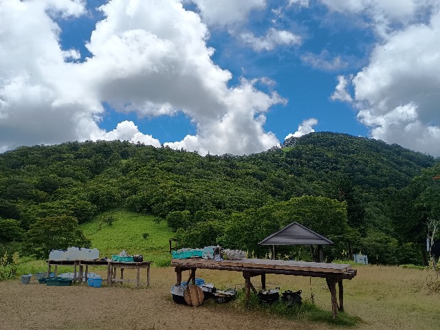 f:id:developingexplorer:20250811071145j:image