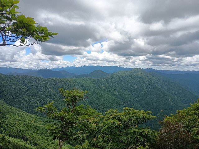 f:id:developingexplorer:20250811072816j:image