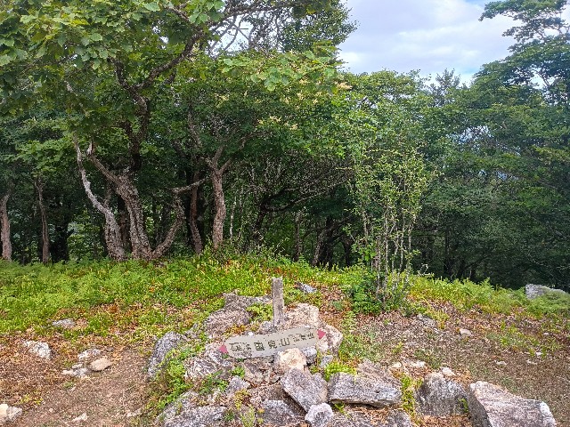 f:id:developingexplorer:20250811072827j:image