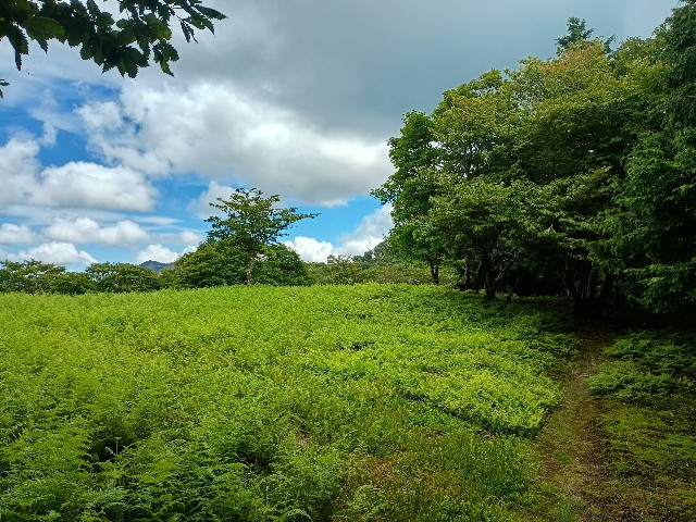 f:id:developingexplorer:20250811075229j:image