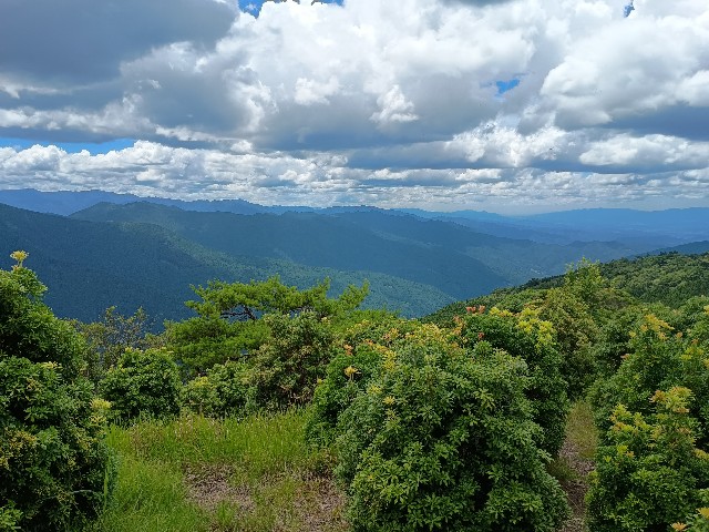 f:id:developingexplorer:20250811080626j:image