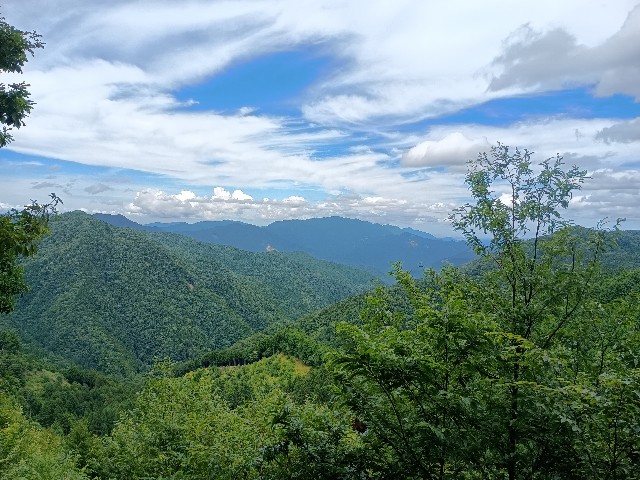f:id:developingexplorer:20250811082329j:image