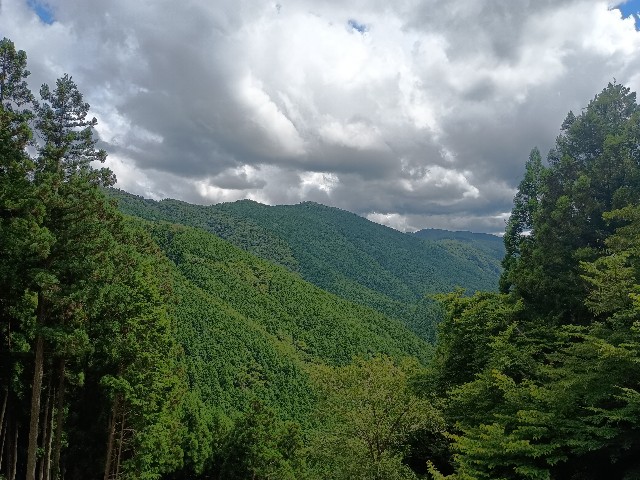 f:id:developingexplorer:20250811084240j:image