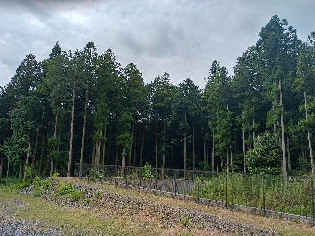 f:id:developingexplorer:20250816153806j:image f:id:developingexplorer:20250816153806j:image