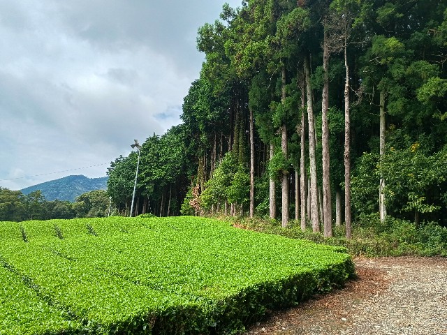 f:id:developingexplorer:20250816154359j:image f:id:developingexplorer:20250816154359j:image