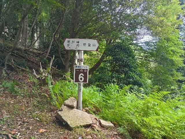 f:id:developingexplorer:20250816162034j:image f:id:developingexplorer:20250816162034j:画像