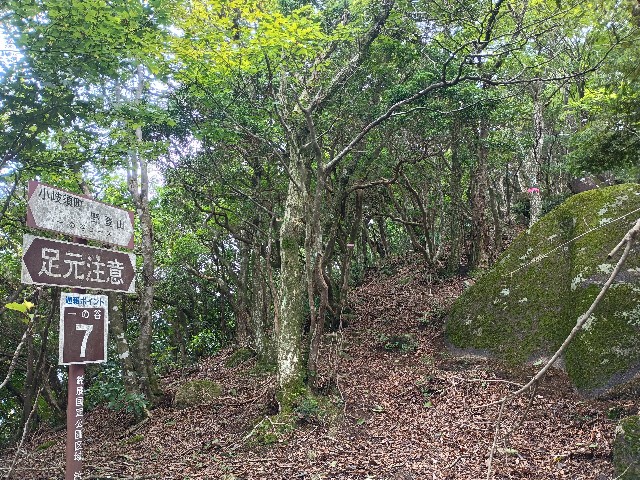 f:id:developingexplorer:20250816162742j:image f:id:developingexplorer:20250816162742j:画像