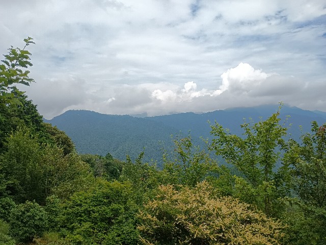 f:id:developingexplorer:20250816163515j:image f:id:developingexplorer:20250816163515j:image