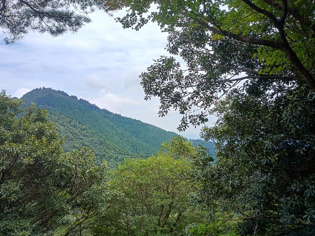 f:id:developingexplorer:20250817071232j:image f:id:developingexplorer:20250817071232j:画像
