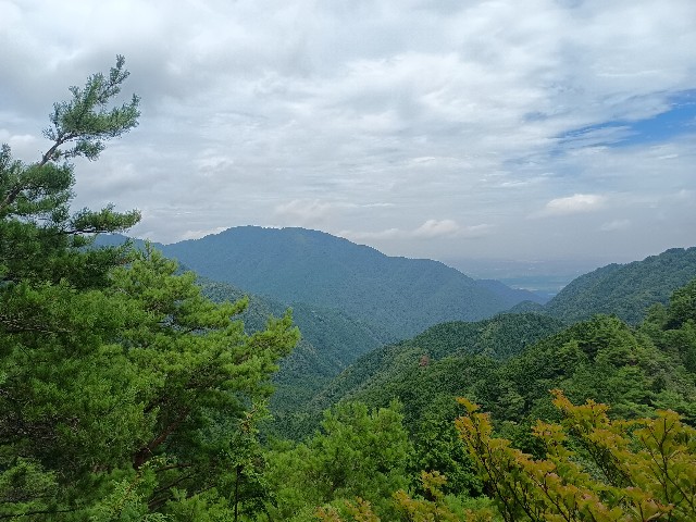 f:id:developingexplorer:20250817071243j:image f:id:developingexplorer:20250817071243j:画像
