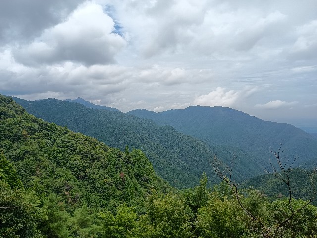 f:id:developingexplorer:20250817071253j:image f:id:developingexplorer:20250817071253j:画像