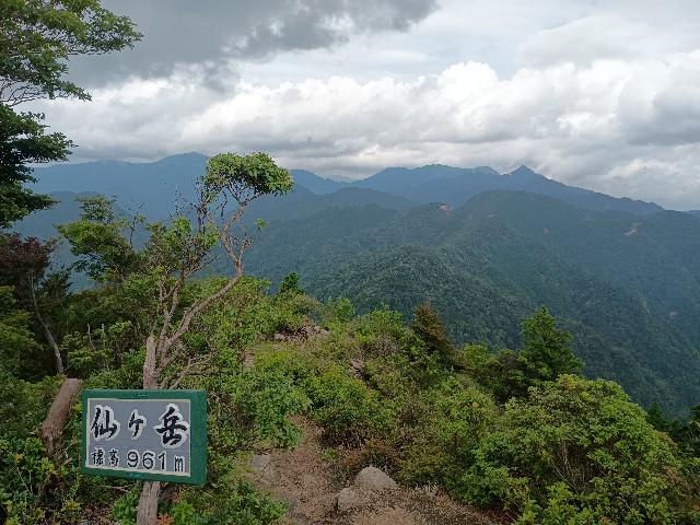 f:id:developingexplorer:20250817072710j:image f:id:developingexplorer:20250817072710j:画像