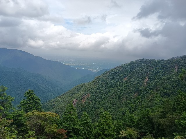 f:id:developingexplorer:20250817072933j:image f:id:developingexplorer:20250817072933j:image