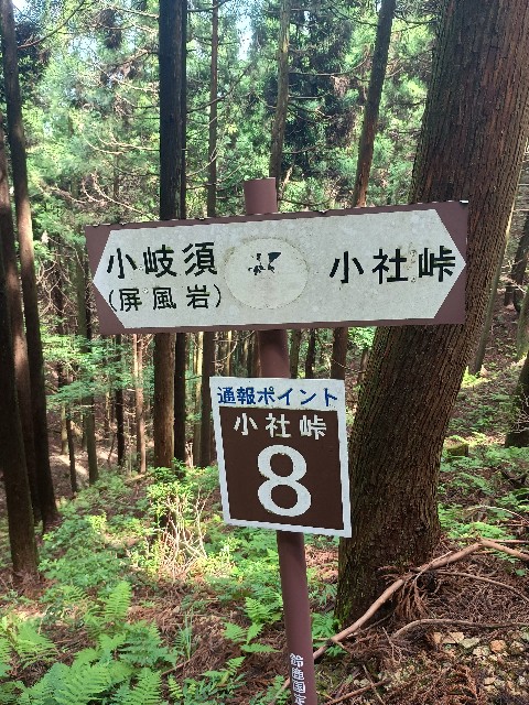 f:id:developingexplorer:20250817074805j:image f:id:developingexplorer:20250817074805j:画像