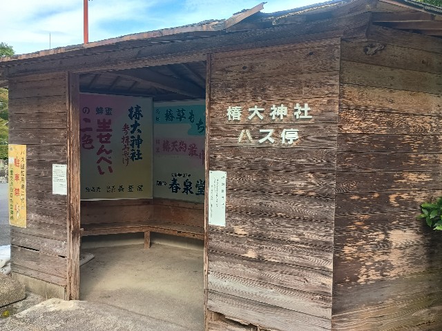 f:id:developingexplorer:20250817080301j:image f:id:developingexplorer:20250817080301j:画像