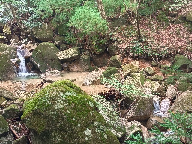 f:id:developingexplorer:20250823152258j:image