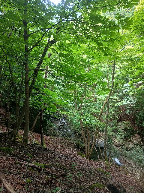f:id:developingexplorer:20250823153224j:image