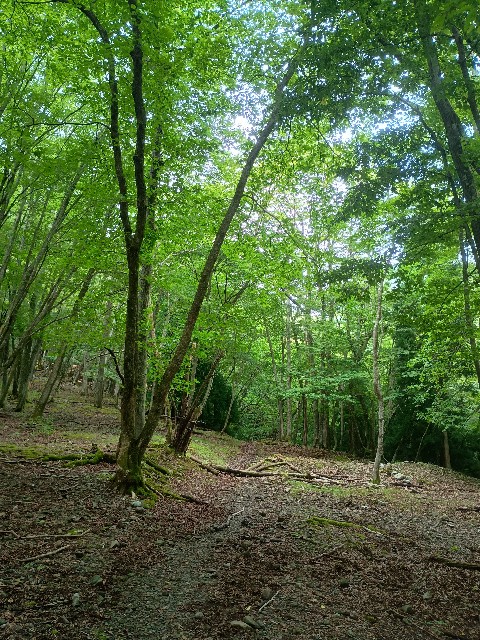 f:id:developingexplorer:20250823153945j:image