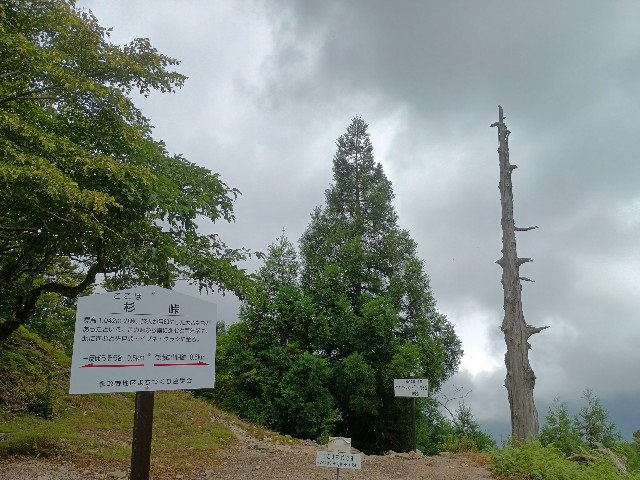f:id:developingexplorer:20250823155438j:image