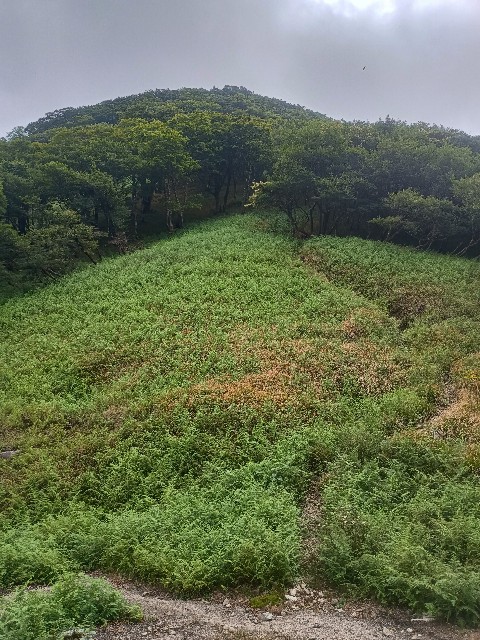 f:id:developingexplorer:20250823155510j:image