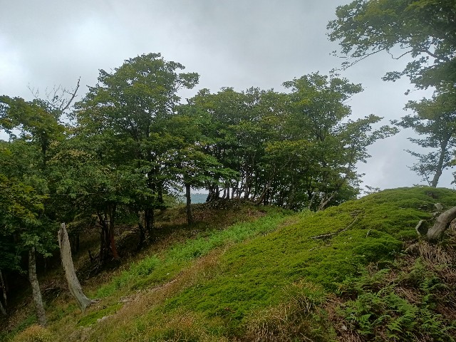 f:id:developingexplorer:20250823160043j:image