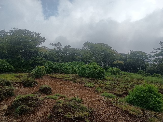 f:id:developingexplorer:20250823160057j:image