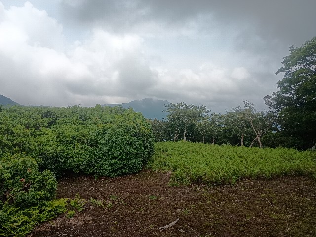f:id:developingexplorer:20250823160112j:image