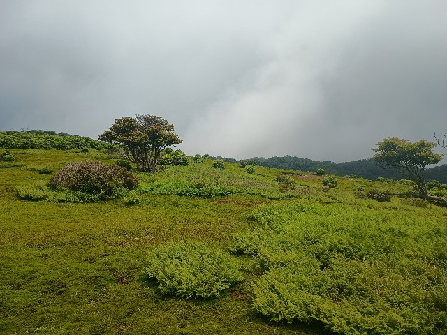 f:id:developingexplorer:20250824074909j:image