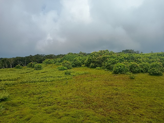 f:id:developingexplorer:20250824074923j:image