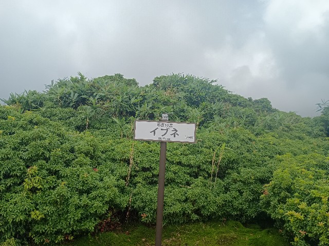 f:id:developingexplorer:20250824074937j:image