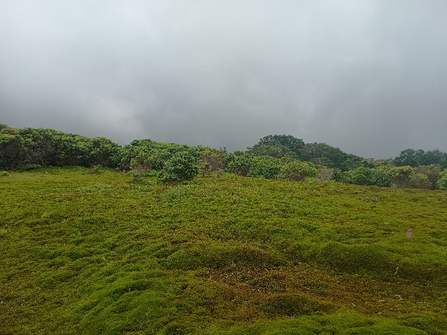 f:id:developingexplorer:20250824075311j:image