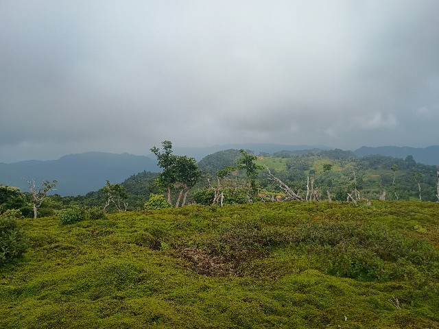 f:id:developingexplorer:20250824075324j:image