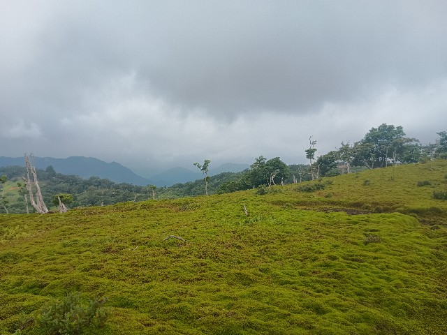 f:id:developingexplorer:20250824075334j:image