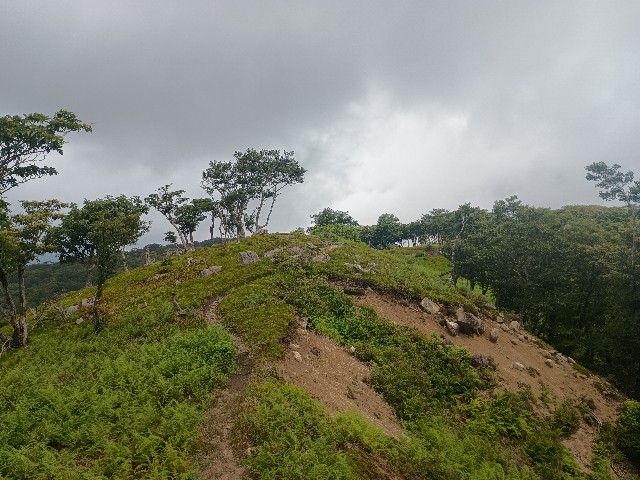 f:id:developingexplorer:20250824075344j:image