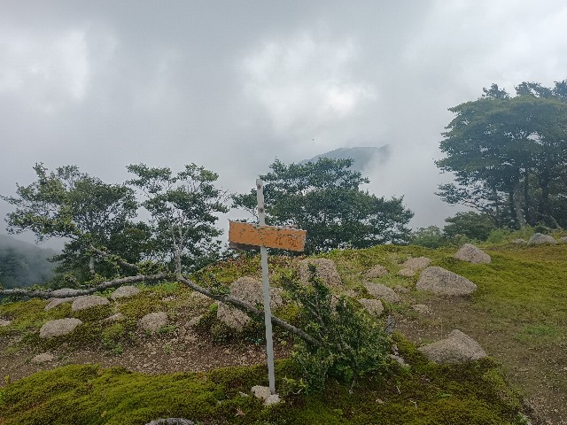 f:id:developingexplorer:20250824075814j:image