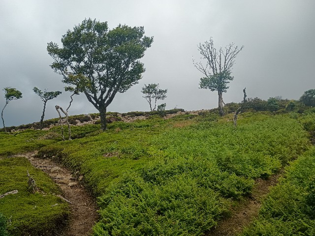 f:id:developingexplorer:20250824075940j:image