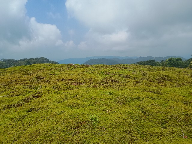 f:id:developingexplorer:20250824080928j:image