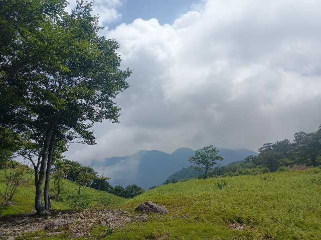 f:id:developingexplorer:20250824081011j:image