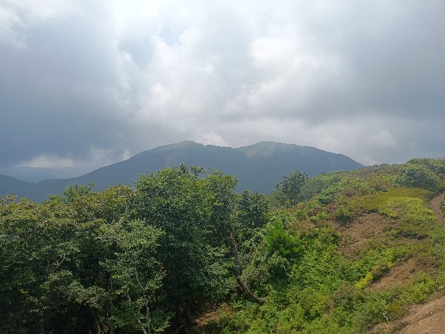 f:id:developingexplorer:20250824081105j:image