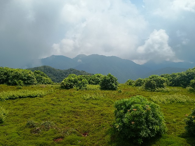 f:id:developingexplorer:20250824081120j:image