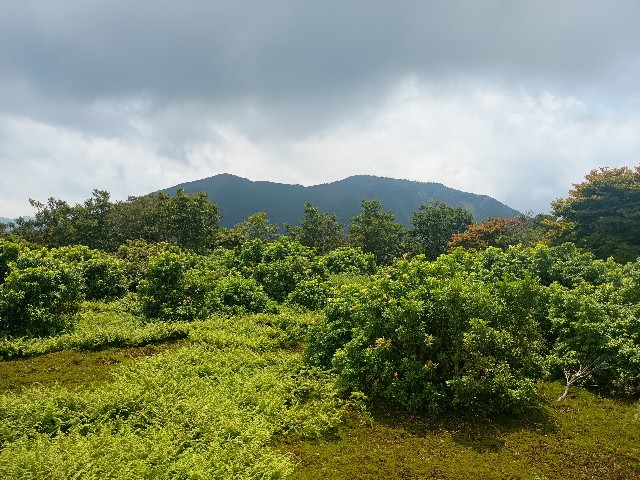 f:id:developingexplorer:20250824081134j:image