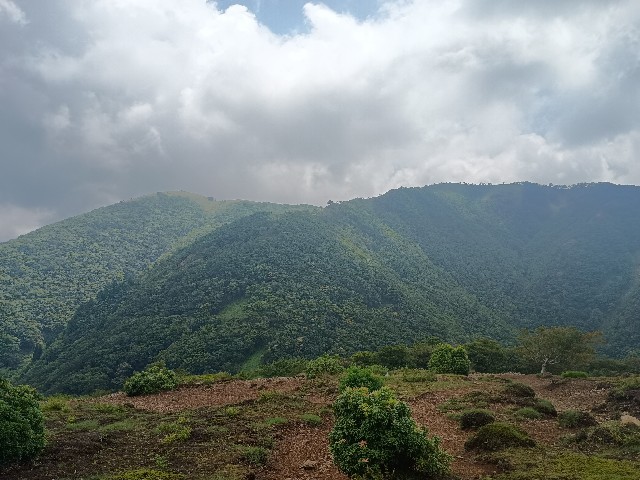 f:id:developingexplorer:20250824081856j:image