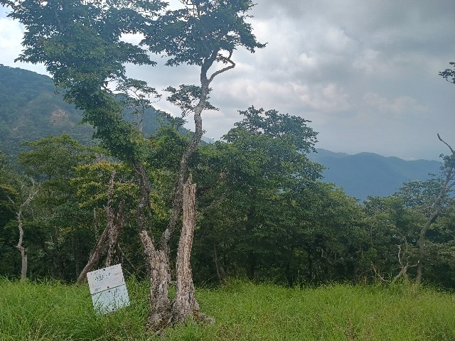 f:id:developingexplorer:20250824082255j:image