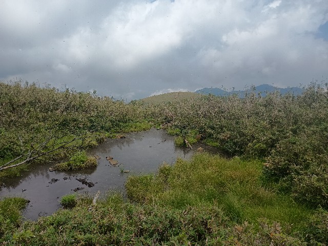 f:id:developingexplorer:20250824082339j:image